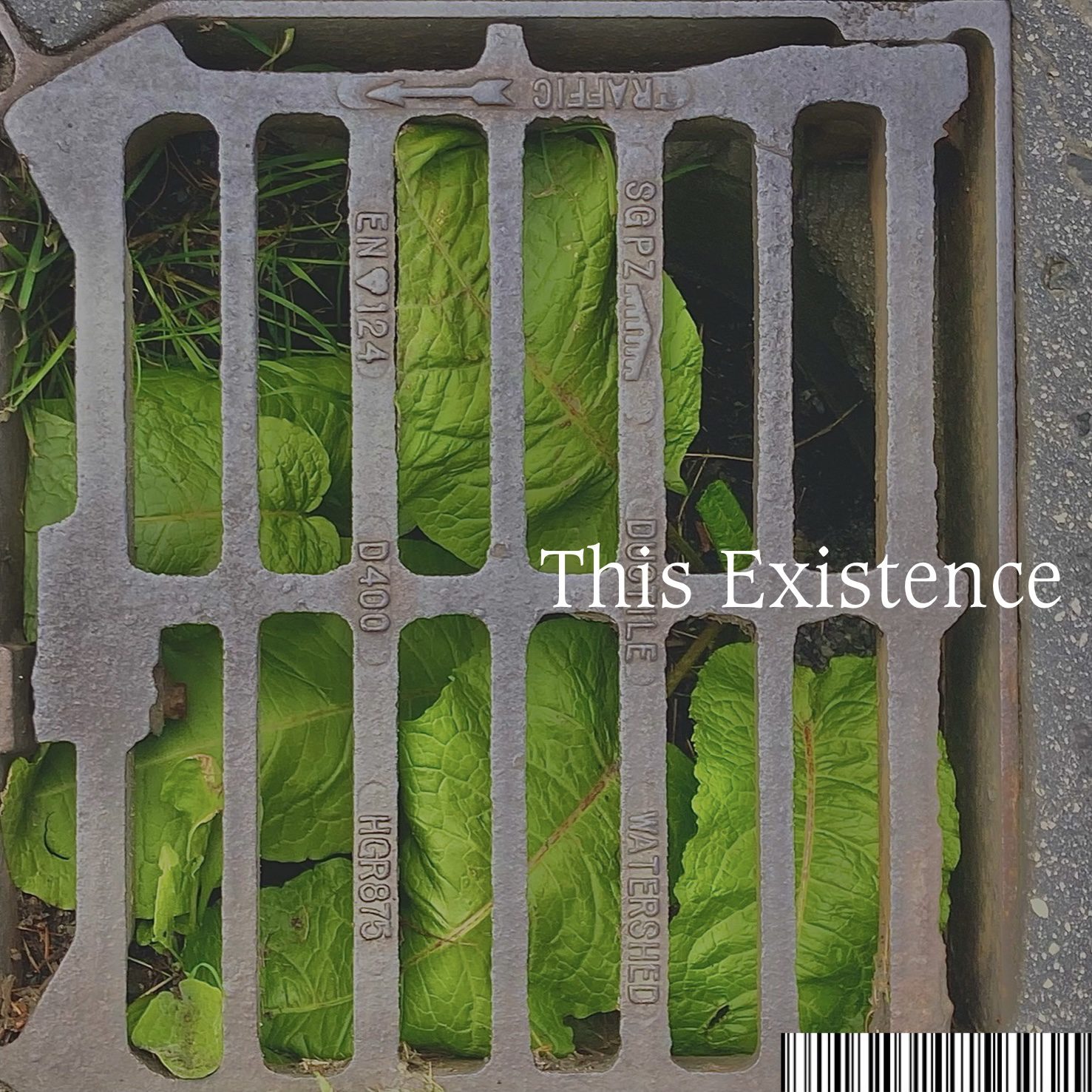 Sarah Fitzsimon This Existence