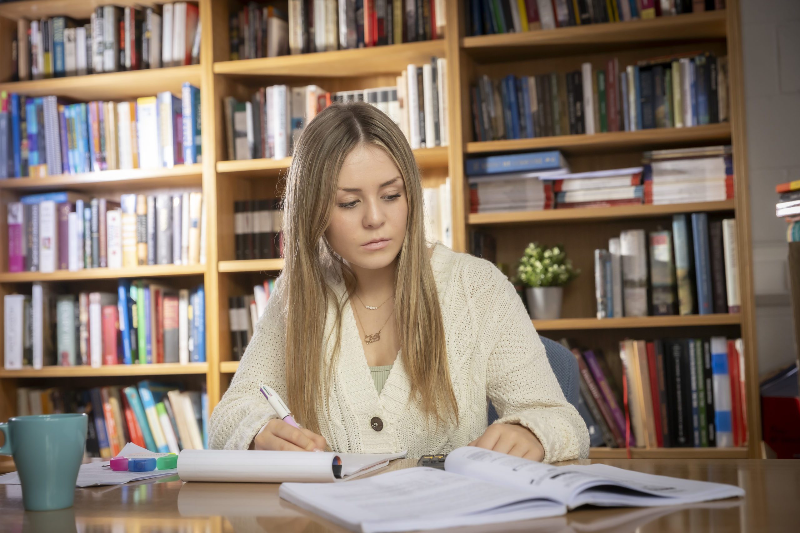 October Midterm Revision Course